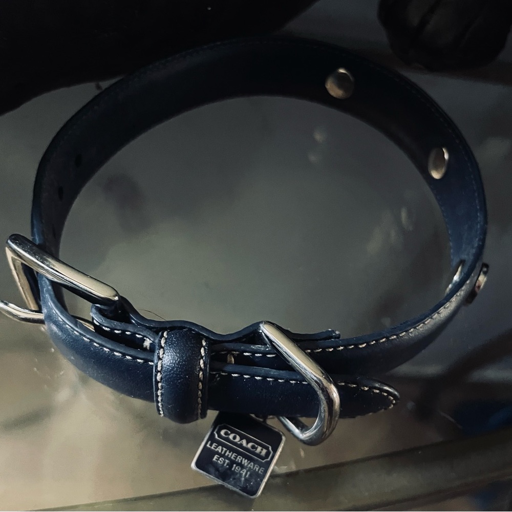 Coach dog collar